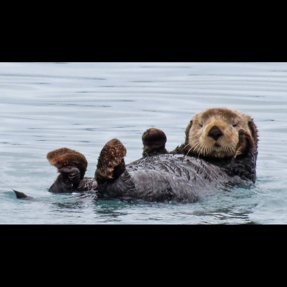 Meet your Posher, Ali